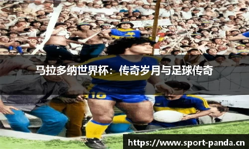 熊猫体育官方网站