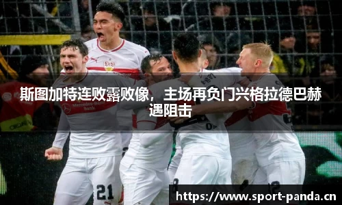 熊猫体育官方网站