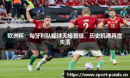欧洲杯：匈牙利队输球无缘晋级，历史机遇再度失落