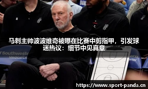 熊猫体育