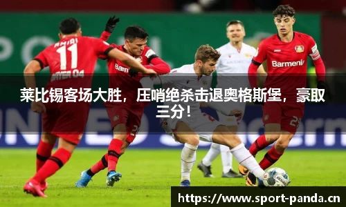 熊猫体育