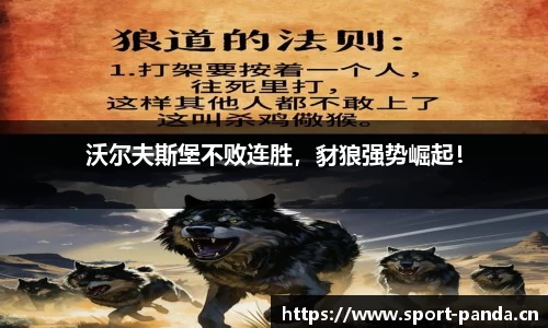 熊猫体育官方网站