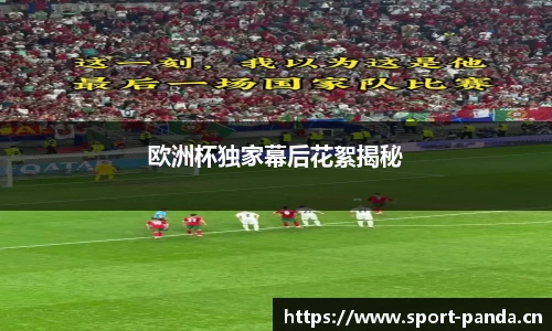 熊猫体育平台