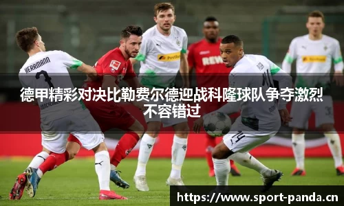 熊猫体育平台