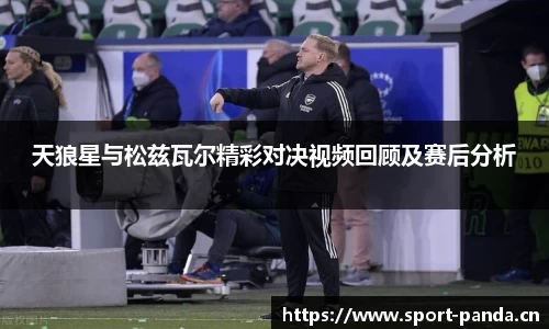 熊猫体育平台