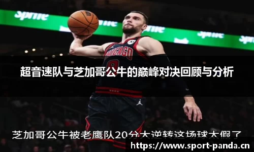 熊猫体育平台