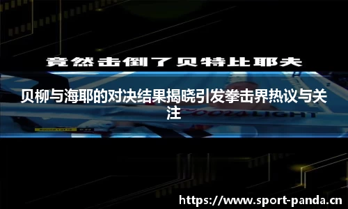 熊猫体育官方网站